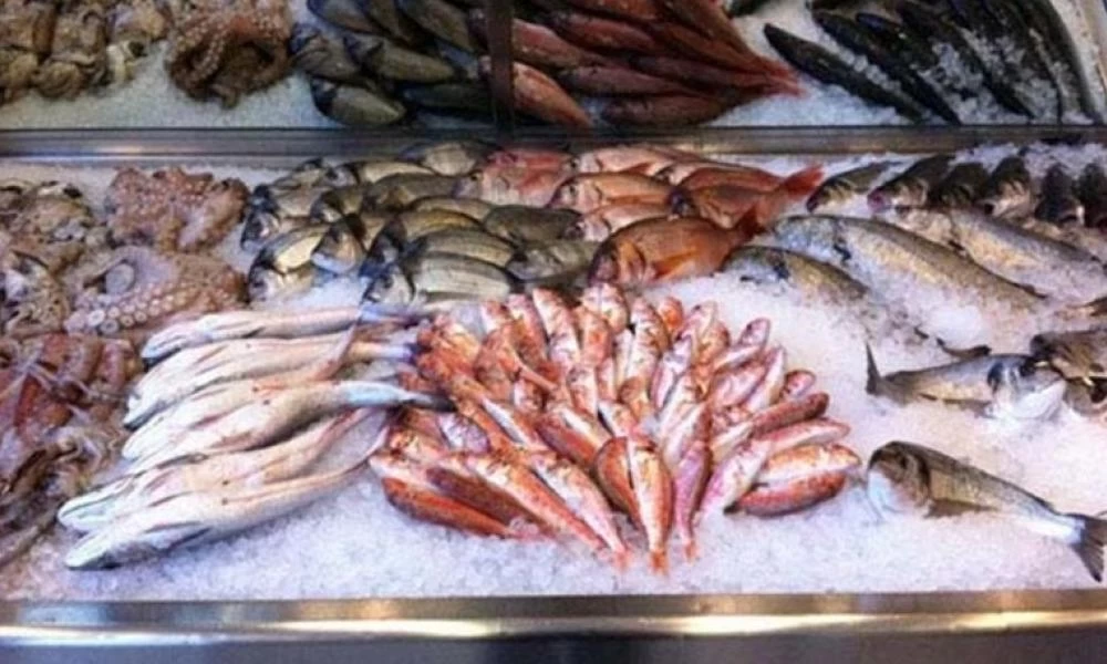 Το παράδειγμα των... Τούρκων: Αλβανοί ψάρευαν παράνομα στη Μεγάλη Πρέσπα